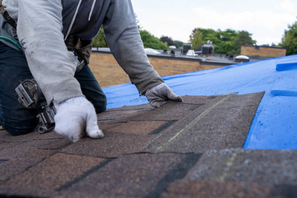 Best Roof Maintenance Services  in Daniel, UT
