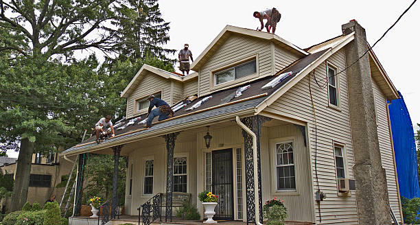 Roof Gutter Cleaning in Daniel, UT